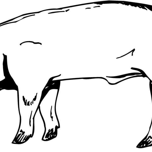 HOG0006 Thumbnail