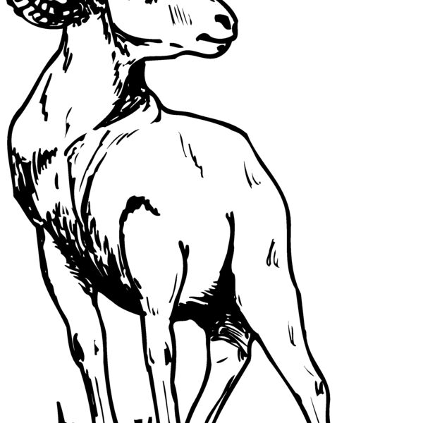 RAM008 Thumbnail