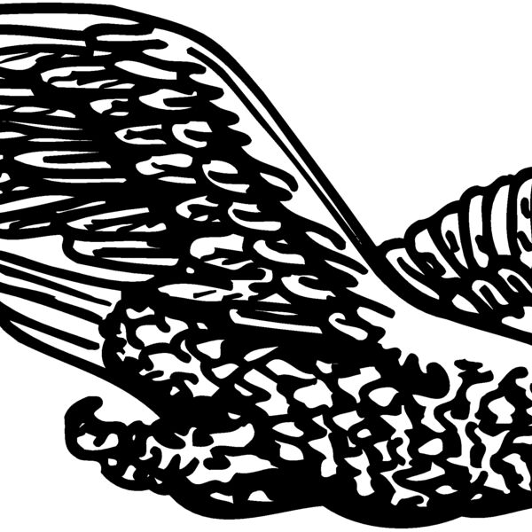 EAGLE006 Thumbnail