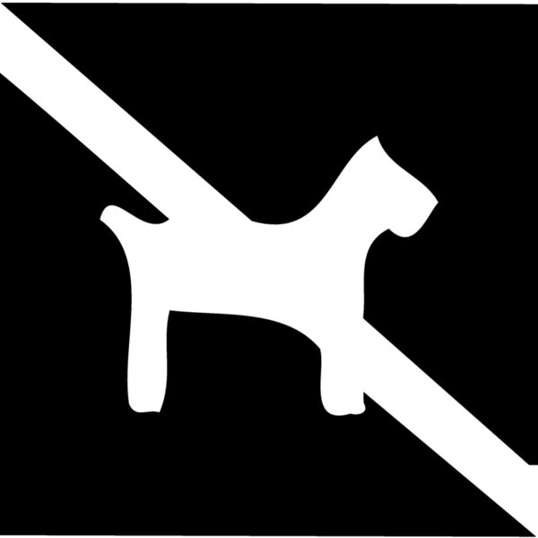 NODOG Thumbnail