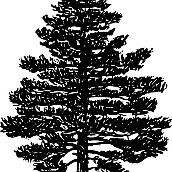TREE0003 Thumbnail