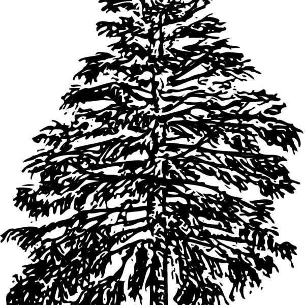 TREE0009 Thumbnail