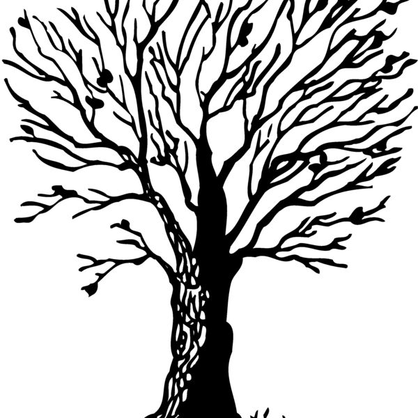 TREE0020 Thumbnail