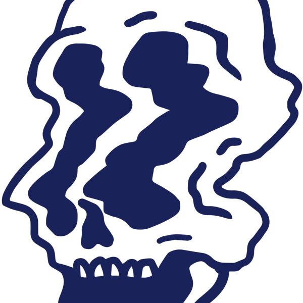 Elements Skulls logo template 95 Thumbnail