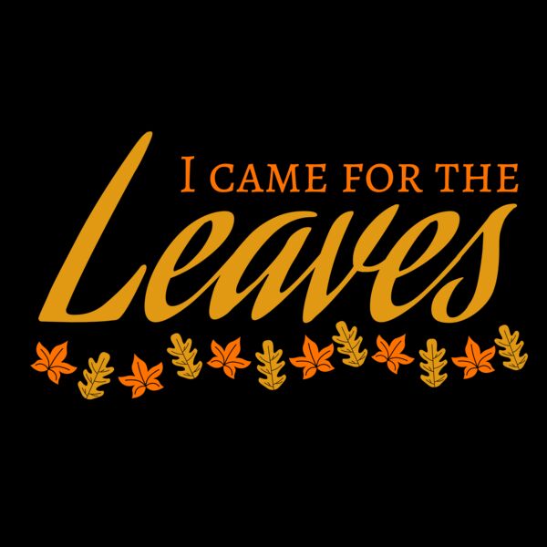 Fall Season 28 Thumbnail