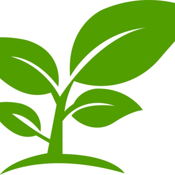 12 Leaves Thumbnail