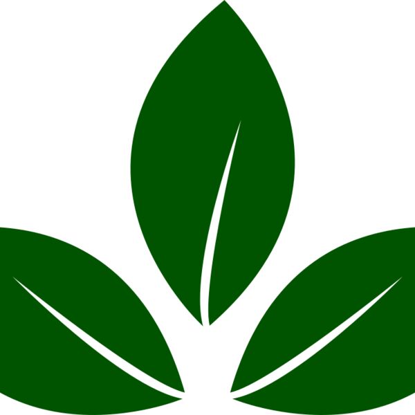 Leaves 5 Thumbnail