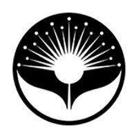 Absolutely Kiwi Thumbnail